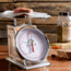 LEM Products 44 Pound Scale, Stainless Steel, 435