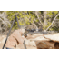 Leofoto Juggernaut S2 2-Section Precision Shooting Tripod Kit