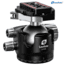 Leofoto LM-364C X Version Tripod w/ 75mm Bowl/Platform w/ LH Ballhead Set, Black, LM-364CX+LH-55LR
