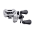 Lews Accel Baitcast Reel