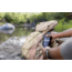 LifeStraw Peak Series Compact Gravity Water Filter System, Dark Mountain Gray, 3 liters, LSPSFX3LAN1