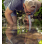 LifeStraw Personal Water Filter, American Red Cross, LSPHF035