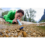 LifeStraw Personal Water Filter, Blue, EN-FR Pack, LSPHF010