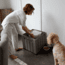 Lifetime Products 25 Gallon Outdoor Storage Cube