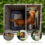 Lifetime Products Deluxe Dog House
