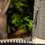 Lifetime Products Deluxe Dog House