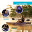Lifetime Products Oracle 103 Sit-On-Top Kayak