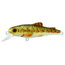 Live Target Livetarget Trout, Fry, Shallow Dive Jerkbait, Sinking, Brown Trout, 2in, 1/8oz, #10 Hooks, TF50S901