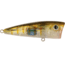 Livingston Lures Walk N Pop 67 Lure, True Bream, 5335