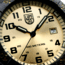 Luminox Leatherback Sea Turtle Giant Outdoor Watch, Gold/black - XS0325GP