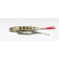Lunkerhunt Bento Bait Soft Bait, 6, 3in, Dace, LHPB301
