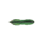 Lunkerhunt Froglet Bait Topwater, 1, 3in, Blue Gill, FGLT304