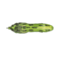 Lunkerhunt Froglet Bait Topwater, 1, 4in, Green Tea, FGLT401