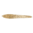 Lunkerhunt Leech Bait Soft Bait, 8, 5in, Sandy, LEECH502
