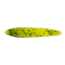 Lunkerhunt Leech Bait Soft Bait, 10, 3in, Watermelon, LEECH303