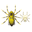 Lunkerhunt Phantom Spider Bait Topwater, 1, 2.25in, Six Spot, LSPIDER01