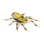 Lunkerhunt Phantom Spider Bait Topwater, 1, 2in, Six Spot, SPIDER01