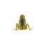 Lunkerhunt Popping Frog Bait Topwater, 1, 1.75in, Toad, QPOP11