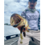 Lunkerhunt Typhon Tube, 6, 3.5in, Green Pumpkin, SBTUBE01