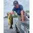 Lunkerhunt Typhon Tube, 6, 3.5in, Green Pumpkin, SBTUBE01