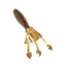 Lunkerhunt Typhon Tube, 6, 3.5in, Meat Locker, SBTUBE06