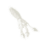 Lunkerhunt Typhon Tube, 6, 3.5in, White Ice, SBTUBE02