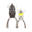 Lunkerhunt Yappa Frog Topwater, 1, 2.75in, Croaker, YPAF03