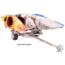 Malone Auto Racks XtraLight LowMax 4 Kayak Trailer Package, 4 J-Racks, MPG596XJ4
