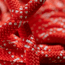 Mammut 9.5 Gym Classic Rope, Raspberry/White, 40 m, 2010-04260-01286-1040