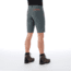 Mammut Hiking Shorts -Mens, Storm/Zion, US 36, 1023-00120-00251-52-10