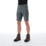 Mammut Hiking Shorts -Mens, Storm/Zion, US 36, 1023-00120-00251-52-10