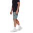 Mammut Hiking V Shorts - Mens, Strata, US 28, 1023-01150-00789-44