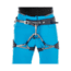 Mammut Mens Massone Shorts, Imperial Mlange, US 30 Waist, 1023-00020-5558-46-10