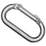 Mammut Oval Carabiner
