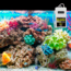 Marine Metal Products Bubble Box, White, B-11