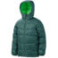 Marmot Ama Dablam Jacket - Boy's-Medium-Deep Forest