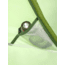 Marmot Vapor 2P Tent, Foliage, One Size, M13999-19170-ONE