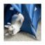 Matador Tiny Tent, Blue, TTENT001B