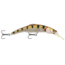 Matzuo Kinchou 7 Plugs Trolling, Tiger Perch, SMDS7-TPR