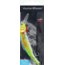 Matzuo Kinchou Minnow Saltwater Series Bait,5.5in,Dorado 118782