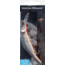 Matzuo Kinchou Minnow Saltwater Series Bait,5.5in,Mullet 118785