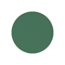 McNett Corporation Gore-tex Repair Kit Green 15360