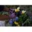 Mechanix Wear Ethel Garden Leopard Gloves - Womens, Blue, Medium, ETH-LP33-520