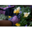 Mechanix Wear Ethel Garden Leopard Gloves - Womens, Blue, Medium, ETH-LP33-520