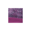 Smartwool Merino 250 Reversible Pattern Cuffed Beanie-Youth Unisex, Meadow Mauve H, Medium, SW018019A11-SM