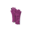 Smartwool Merino 250 Glove-Unisex, Meadow Mauve H, Extra Small, SW019001A11-XS