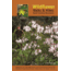 Milestone Press Wildflower Hikes &amp; Walks Nc Mt 9781889596372