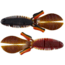 Missile Baits D Bomb Soft Bait, 6, 4in, El Diablo, MBDB45-DBLO
