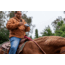 Mobile Warming Foreman Jacket - Mens, Tan, Medium, MWJ18M13-16-03