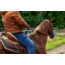 Mobile Warming Foreman Jacket - Mens, Tan, Medium, MWJ18M13-16-03